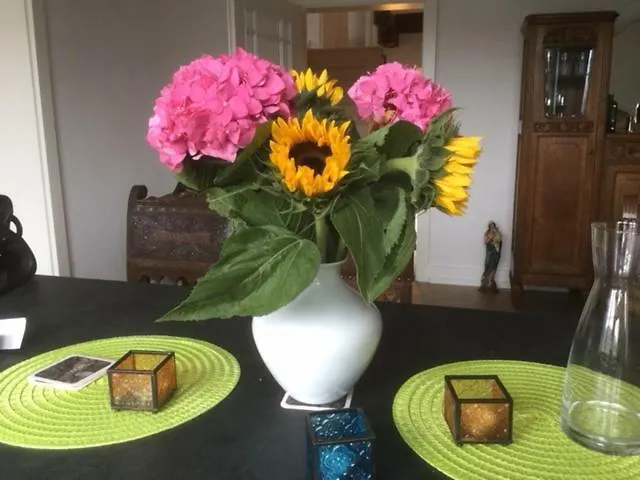 Casa de Férias Storchenhaus *